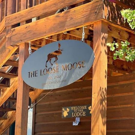 The Loose Moose Lodge #3 At Downtown Grand Lake Dış mekan fotoğraf